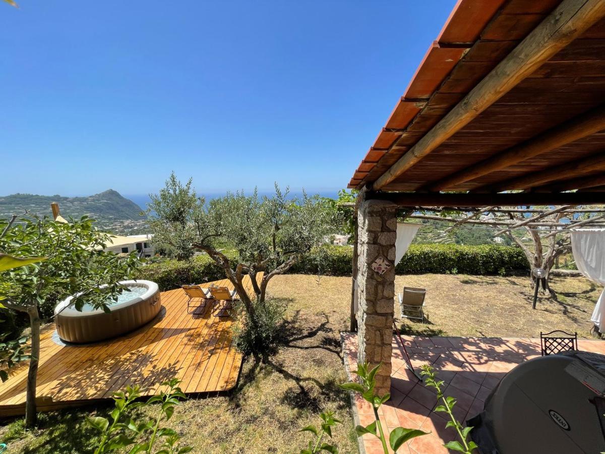 Villa Dei Barili - Natura&relax Ischia