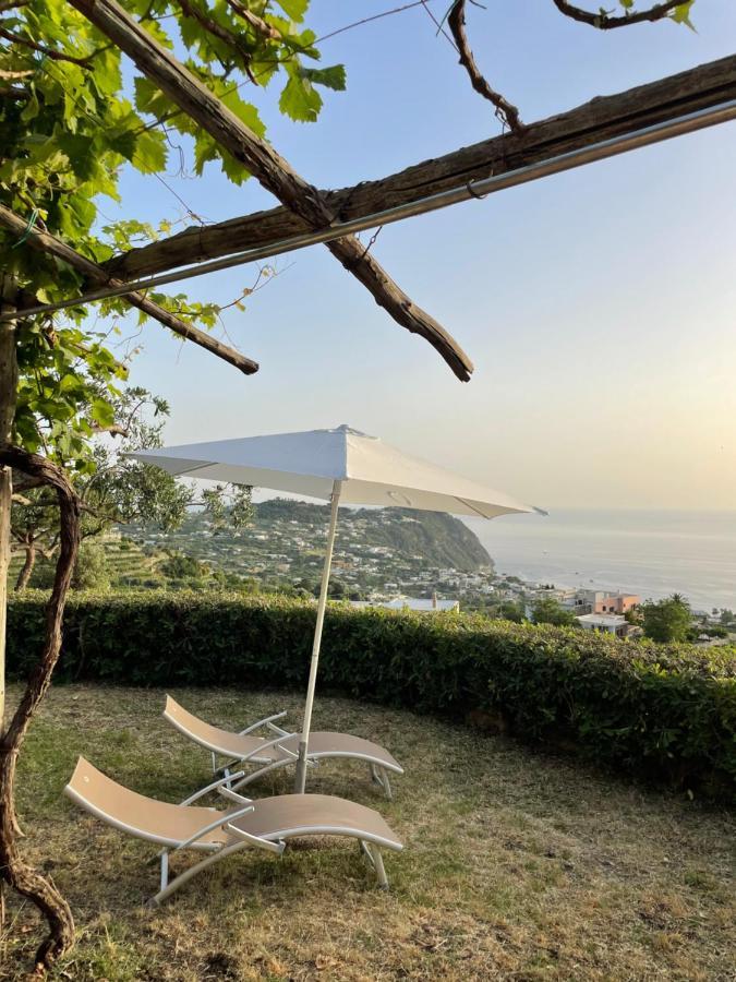 Villa Dei Barili - Natura&relax Ischia